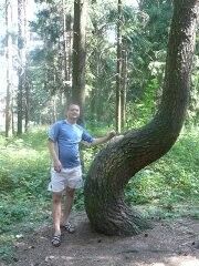  ,   , 39 ,  