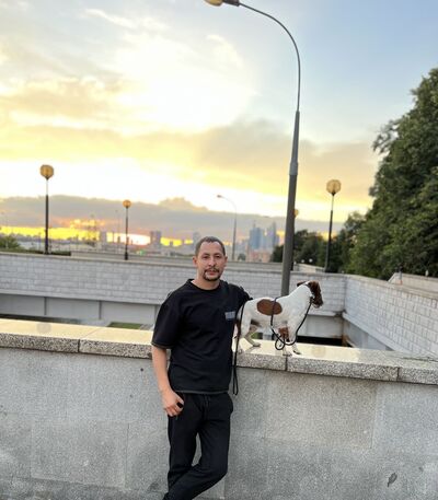  ,   , 33 ,   