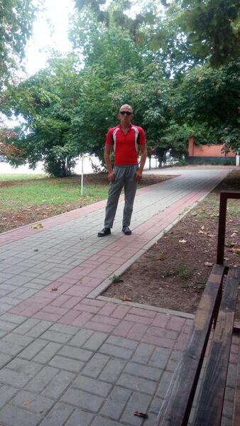  ,   , 37 ,   ,   , 
