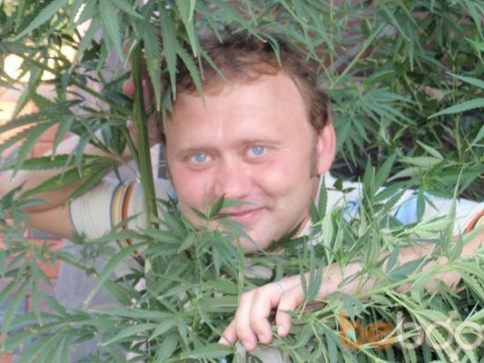 ���������� ����, ���� ������� Xmob, 45 ���, ������������ ��� ������, ����� � ���������, c�������� ���������