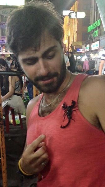  ,   GIORGI, 37 ,   ,   