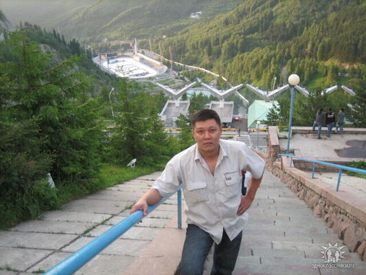  ,   Rus, 43 ,   