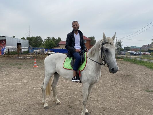  ,   , 41 ,   c 