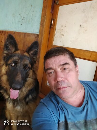  ,   , 53 ,   ,   