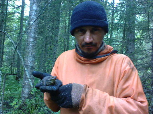  -,   , 50 ,     , c 