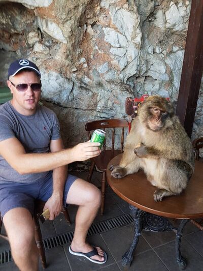  ,   Petras, 39 ,   ,   , c 