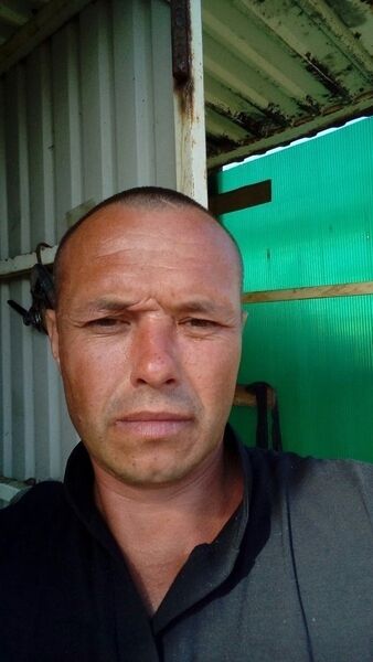   ,   , 45 ,  