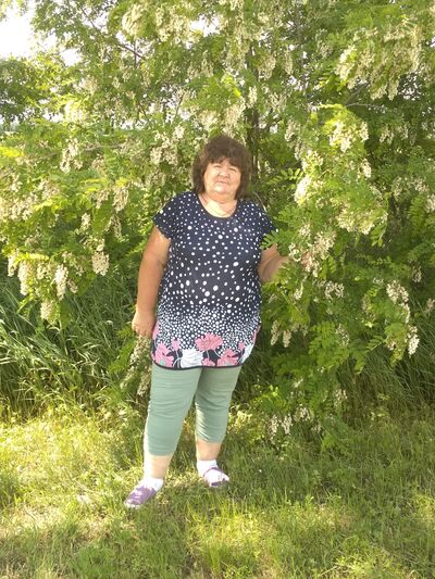  ,   , 62 ,  