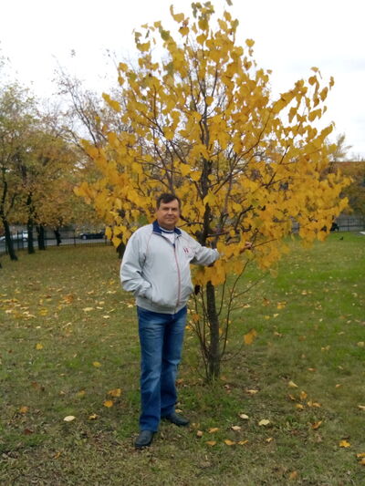  -,   Vladimir, 61 ,     , c 