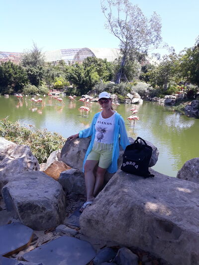  ,   , 62 ,   ,   , c 