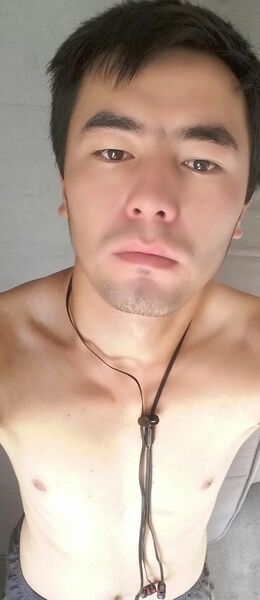  ,   Aliser, 29 ,   ,   , c 