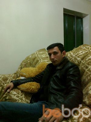  3902067  ELSHAN, 46 ,    