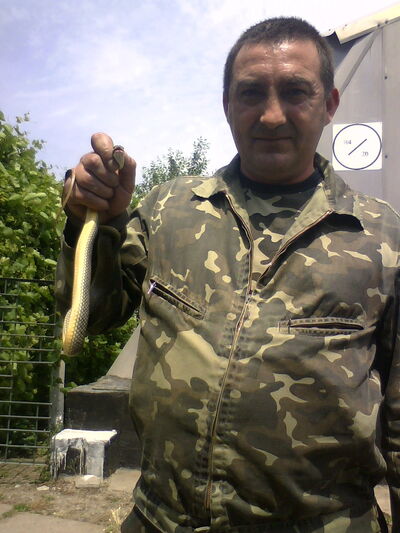 ,   , 54 ,   ,   , c 