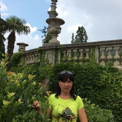  -,   , 53 ,   ,   , c 
