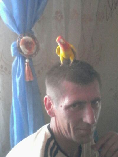  ,   , 49 ,   