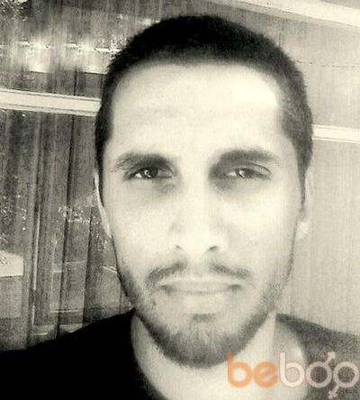  Ortakoy,   Inek, 43 ,   ,   , c 