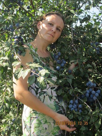  ,   , 43 ,  