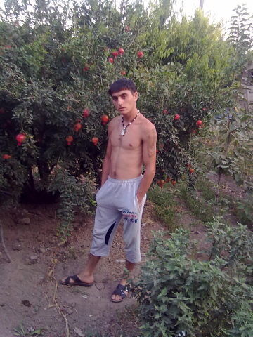  ,   GEV, 34 ,   