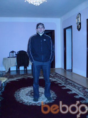  ,   Ramin, 48 ,   ,   , c 