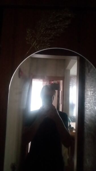  ,   Basil, 24 ,   ,   