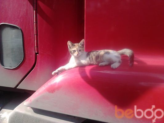 ���������� ������, ���� ������� ���, 40 ���, ������������ ��� ������, ����� � ���������, c�������� ���������