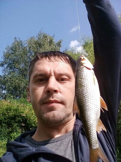  ,   , 44 ,  