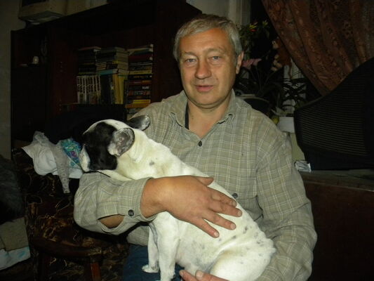  ,   Van, 69 ,   