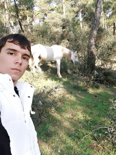  ,   , 31 ,   , c 