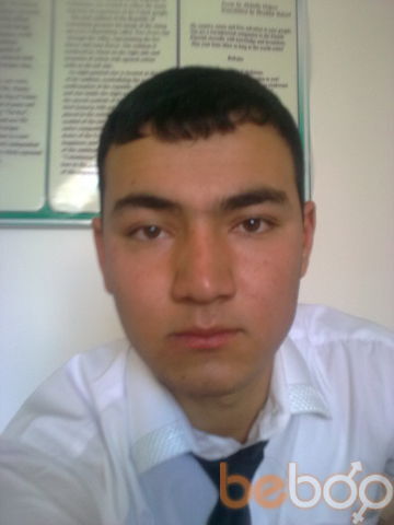  -,   Sherzod, 33 ,   ,   , c 