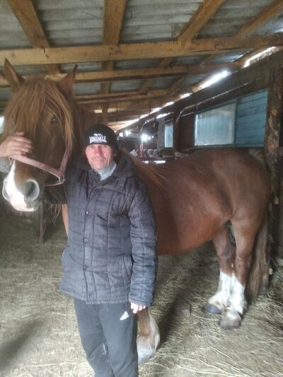   ,   Alexander, 56 ,   ,   , c , 