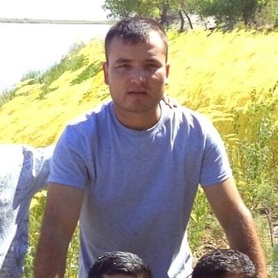  23188887  , 38 ,    -