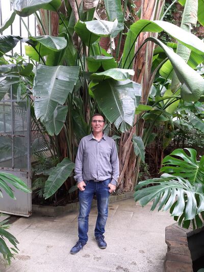 Montigny-les-Metz,   , 50 ,     , c 