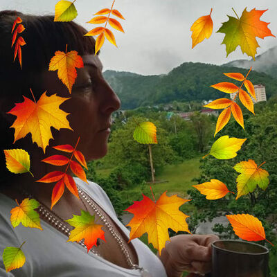  ,   , 46 ,   ,   