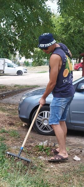  ,   , 29 ,   ,   