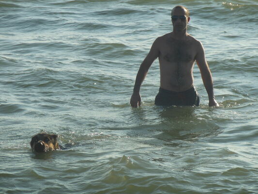  ,   Avto, 47 ,   