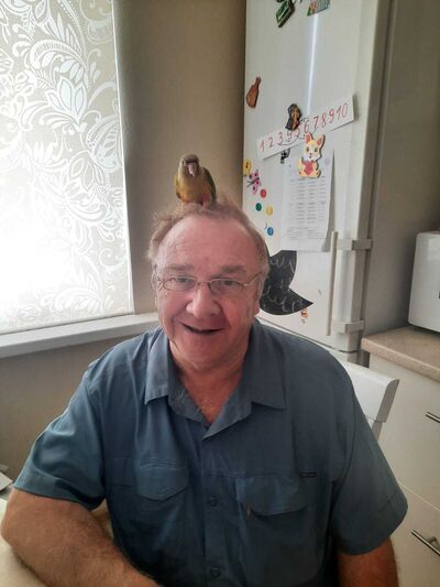  ,   , 70 ,   ,   