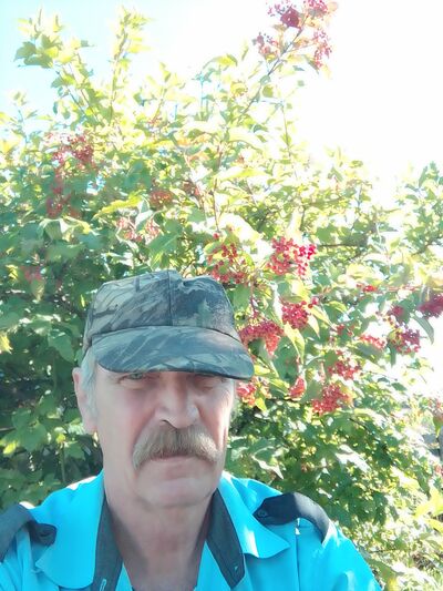   ,   , 66 ,   c 