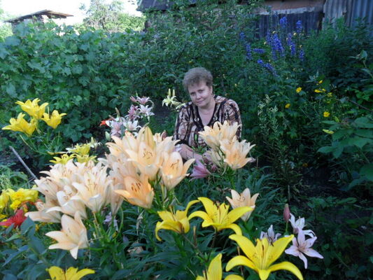  --,   Svetlana, 58 ,     , c 