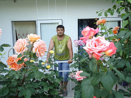  --,   , 44 ,     , c 