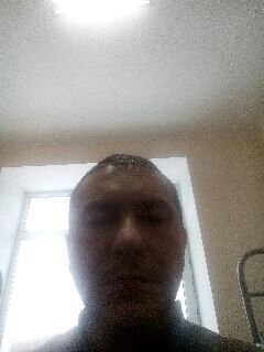  ,   , 51 ,   