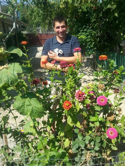  ,   Mihai, 36 ,   ,   