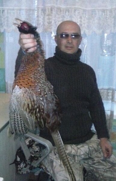  ,   , 49 ,   ,   