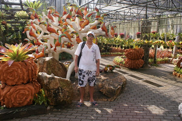  ,   , 53 ,  