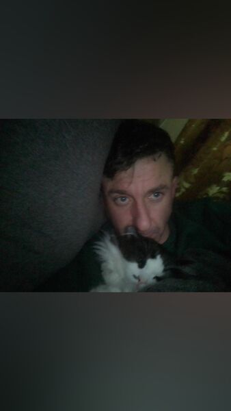  ,   , 41 ,   ,   