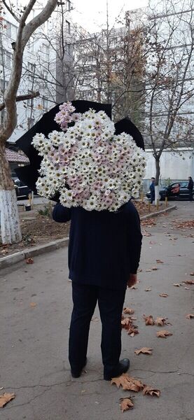  ,   Denis, 25 ,   ,   , c 