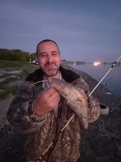  --,   ZEVS, 35 ,   ,   