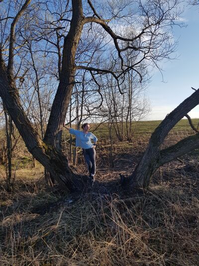 ���������� �����������, ���� ������� ����, 46 ���, ������������ ��� ������, ����� � ���������