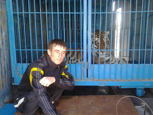  ,   Vanes, 39 ,   