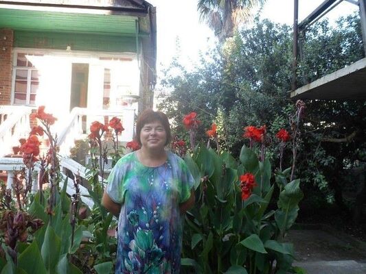  ,   , 56 ,  