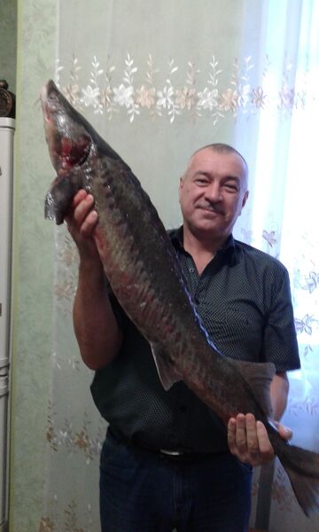  ,   , 59 ,   ,   